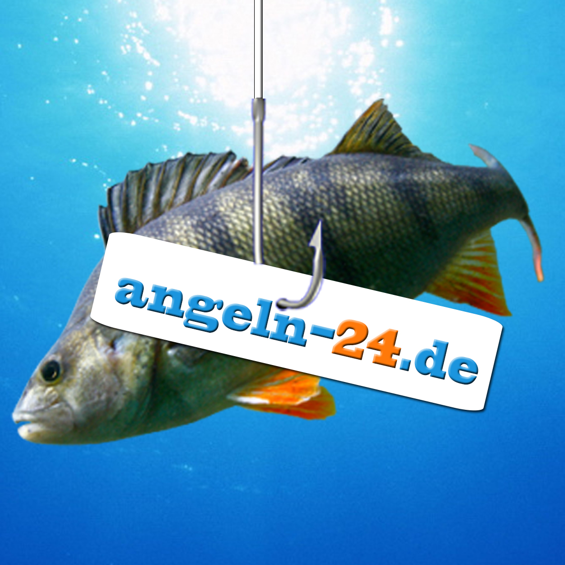 Angeln-24 Webautor Icon